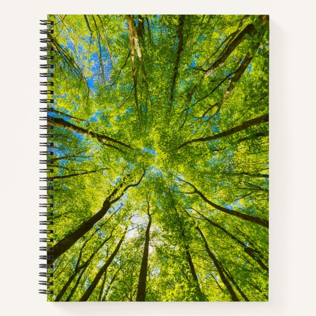 Looking up through green tree leaves notebook (Front)