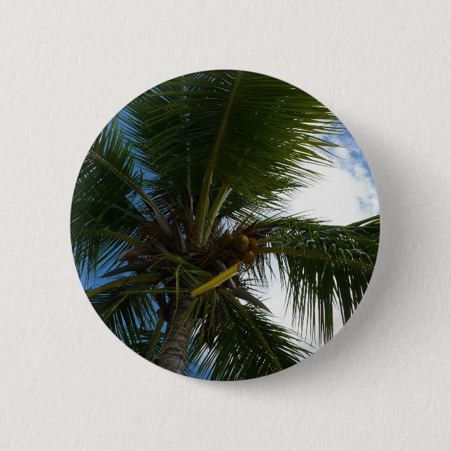 Looking Up to Coconut Palm Tree Tropical Nature 6 Cm Round Badge (Front)