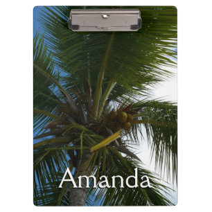 Looking Up to Coconut Palm Tree Tropical Nature Clipboard