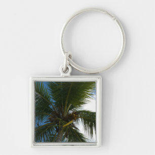 Looking Up to Coconut Palm Tree Tropical Nature Key Ring