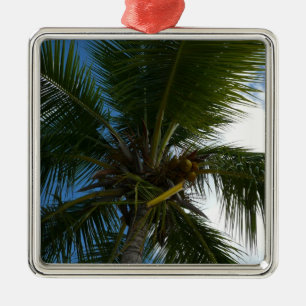 Looking Up to Coconut Palm Tree Tropical Nature Metal Tree Decoration
