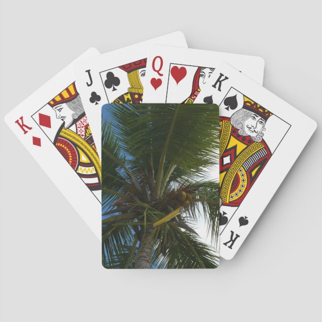 Looking Up to Coconut Palm Tree Tropical Nature Playing Cards (Back)