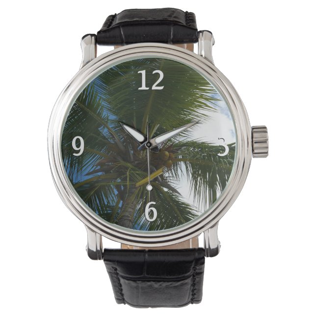 Looking Up to Coconut Palm Tree Tropical Nature Watch (Front)