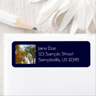 Looking Up to Fall Leaves I Colorful Fall Foliage Return Address Label