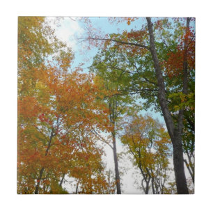 Looking Up to Fall Leaves I Colourful Fall Foliage Ceramic Tile