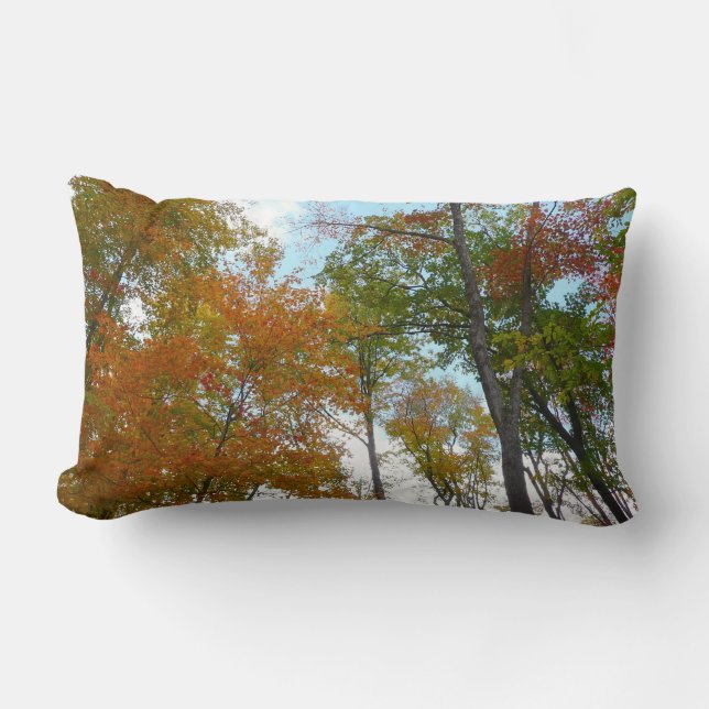 Looking Up to Fall Leaves I Colourful Fall Foliage Lumbar Cushion (Front)