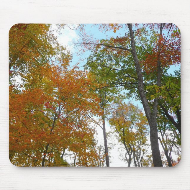 Looking Up to Fall Leaves I Colourful Fall Foliage Mouse Pad (Front)