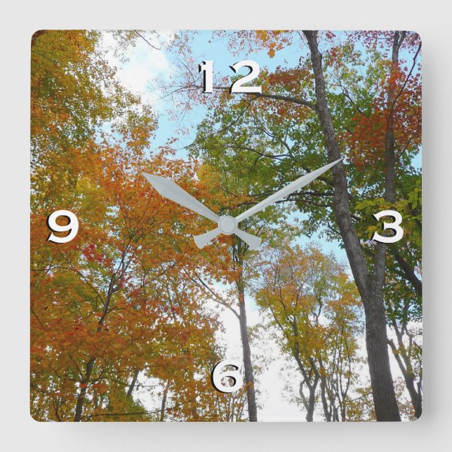 Looking Up to Fall Leaves I Colourful Fall Foliage Square Wall Clock (Front)