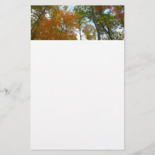 Looking Up to Fall Leaves I Colourful Fall Foliage Stationery