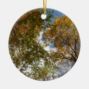 Looking Up to Fall Leaves II Autumn Nature Ceramic Ornament