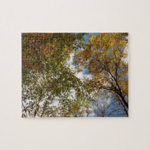 Looking Up to Fall Leaves II Autumn Nature Jigsaw Puzzle