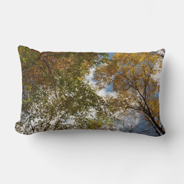 Looking Up to Fall Leaves II Autumn Nature Lumbar Cushion (Front)