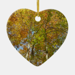 Looking Up to Fall Leaves III Colourful Foliage Ceramic Ornament