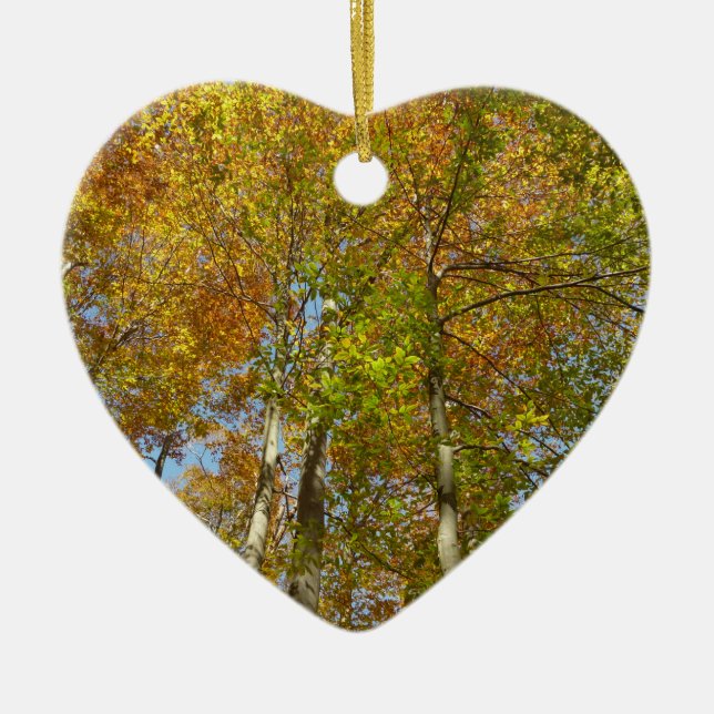 Looking Up to Fall Leaves III Colourful Foliage Ceramic Ornament (Front)