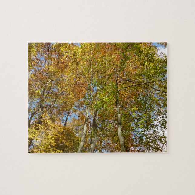 Looking Up to Fall Leaves III Colourful Foliage Jigsaw Puzzle (Horizontal)