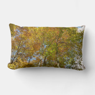 Looking Up to Fall Leaves III Colourful Foliage Lumbar Cushion