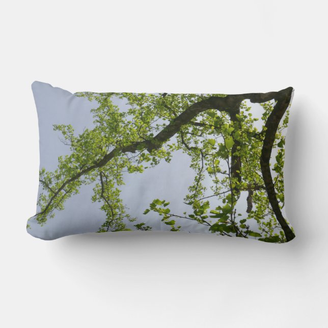 Looking Up to Spring Poplar Tree Lumbar Cushion (Front)