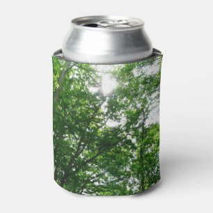 Looking Up to Summer Trees Can Cooler