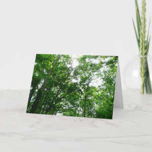 Looking Up to Summer Trees Card