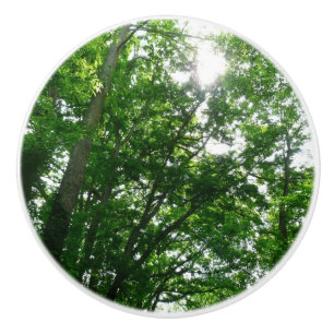 Looking Up to Summer Trees Ceramic Knob