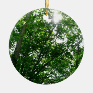 Looking Up to Summer Trees Ceramic Ornament