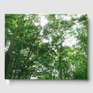 Looking Up to Summer Trees Guest Book