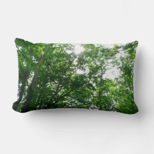 Looking Up to Summer Trees Lumbar Cushion