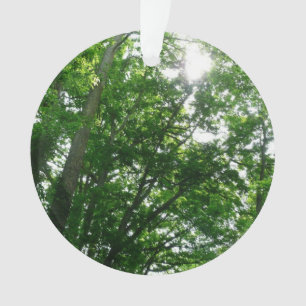 Looking Up to Summer Trees Ornament
