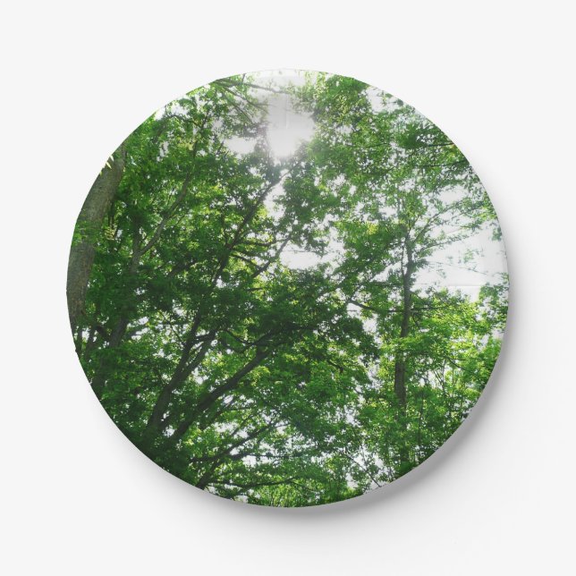 Looking Up to Summer Trees Paper Plate (Front)
