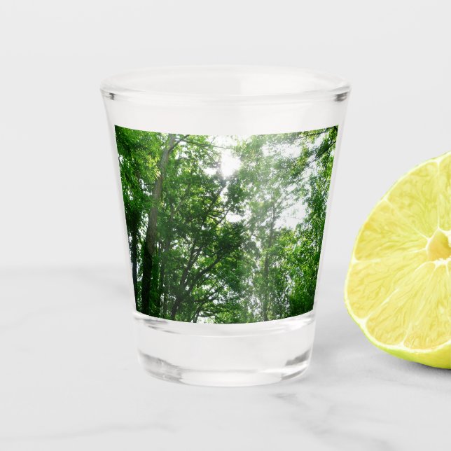 Looking Up to Summer Trees Shot Glass (Front)