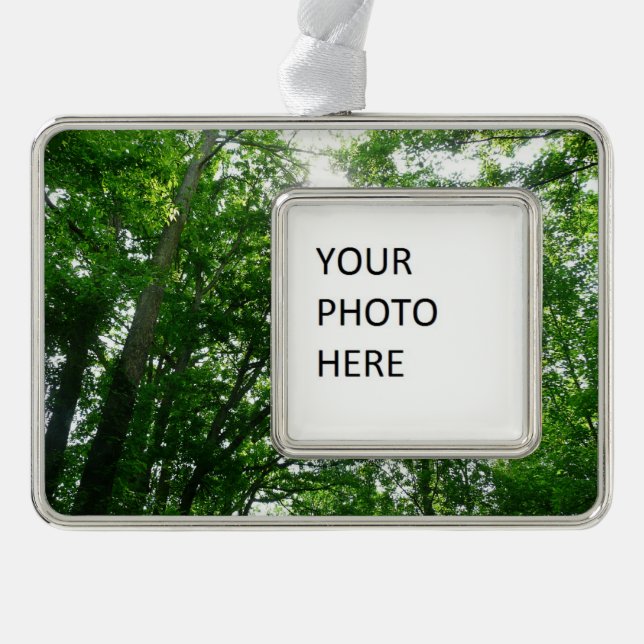 Looking Up to Summer Trees Silver Plated Framed Ornament (Front)