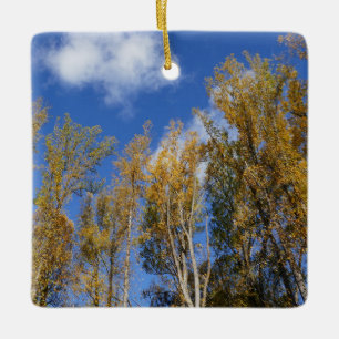 Looking Up to Yellow Poplar Trees I Ceramic Ornament
