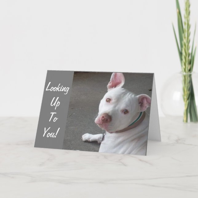 LOOKING UP TO YOU-WAY TO GO MY FRIEND CARD (Front)