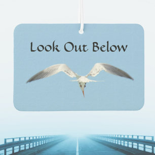 Lookout Below Royal Tern in Flight Car Air Freshener