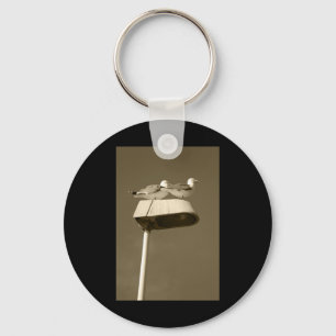 Lookout Post Lanzarote Tint Vertical Sticker Key Ring