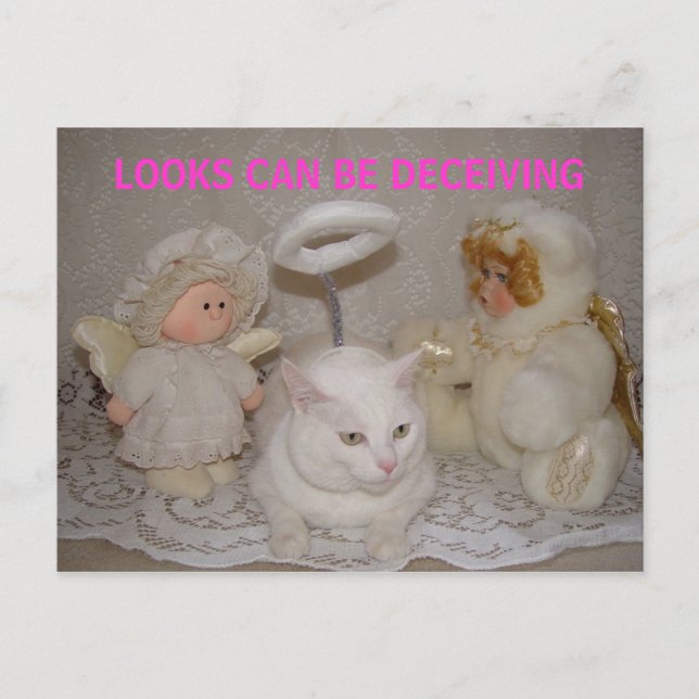 LOOKS CAN BE DECEIVING POSTCARD (Front)