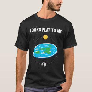 Looks Flat To Me Flat Earth Map Conspiracy  2 T-Shirt