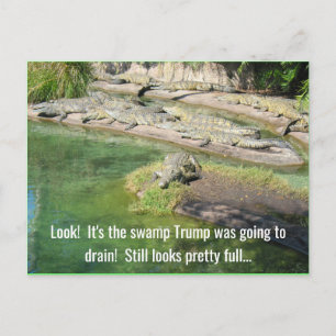 Looks like the swamp's pretty full postcard
