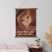 Looks too Monday, cute kitty under blanket