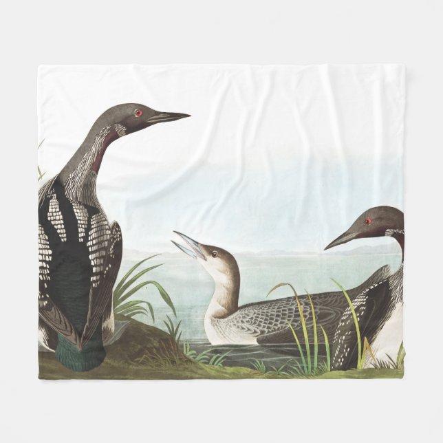 Loon Birds Wildlife Animals Fleece Blanket (Front (Horizontal))