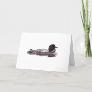 Loon: Blank inside Card