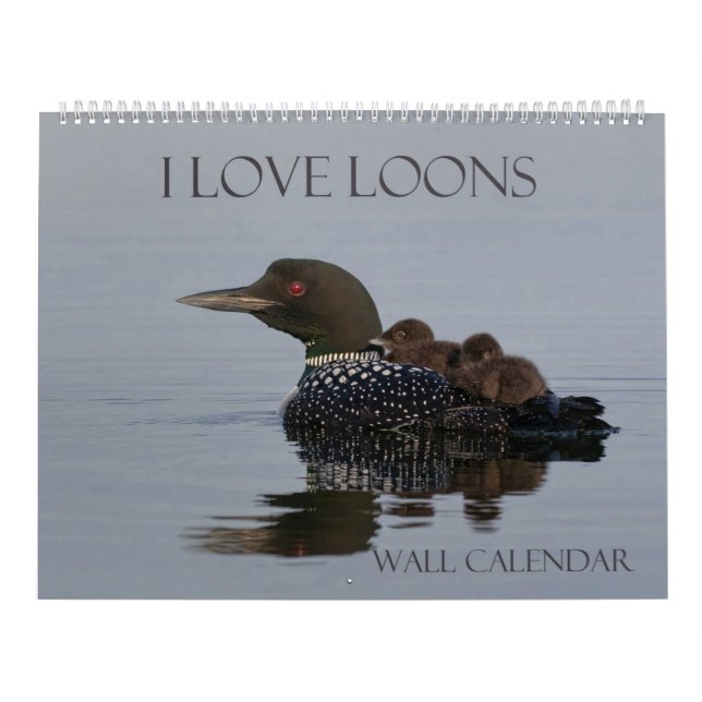 Loon Calendar - 14.25 x 11 (large wall calendar)  (Cover)
