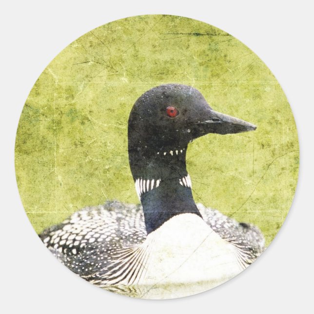 Loon Classic Round Sticker (Front)