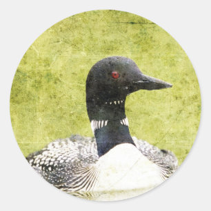 Loon Classic Round Sticker