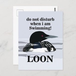 Loon Common Loon Bird Water Lake Funny Postcard