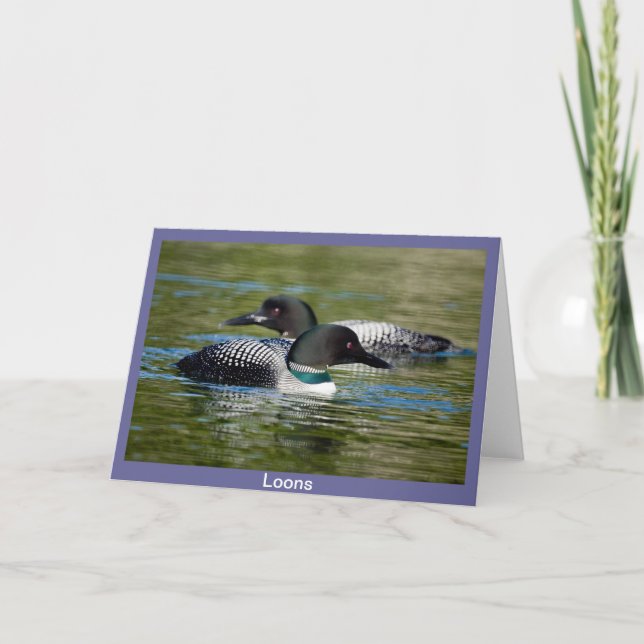 Loon Greeting Card (Front)