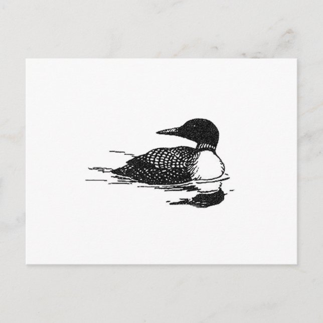 Loon Line Art Postcard (Front)