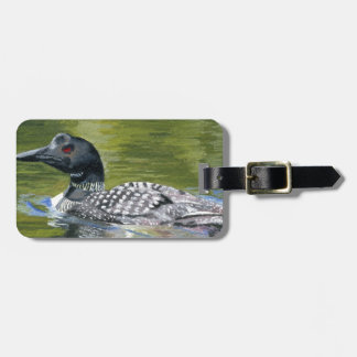 Loon Luggage Tag