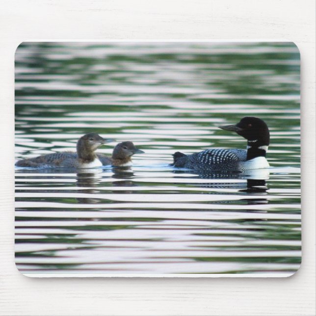 Loon Mousepad (Front)