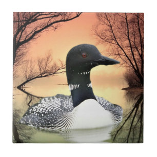 Loon Reflections Ceramic Tile